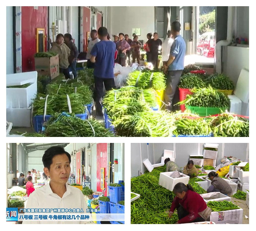 德赢·(VWIN)官方网站-AC米兰官方合作同伴