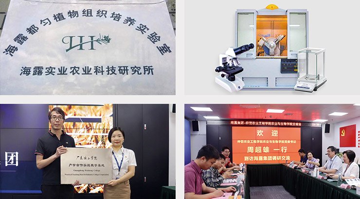 德赢·(VWIN)官方网站-AC米兰官方合作同伴