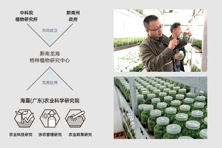 德赢·(VWIN)官方网站-AC米兰官方合作同伴