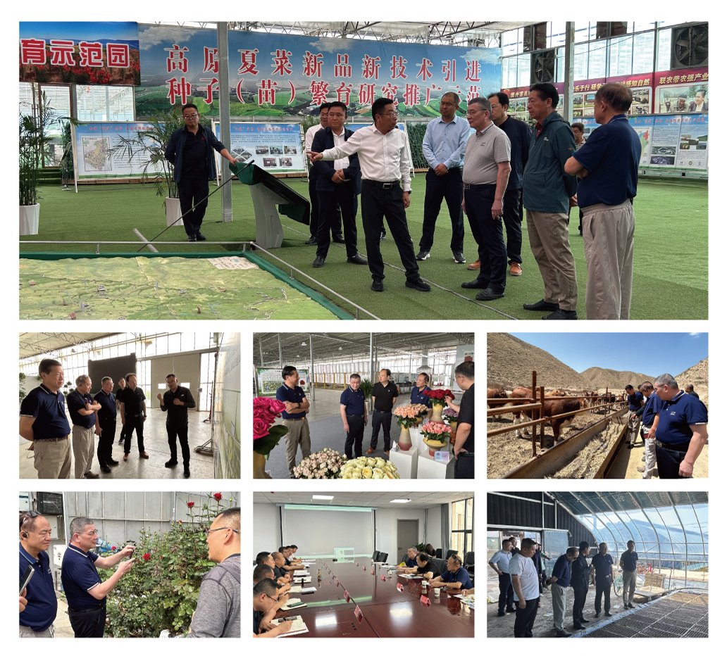 德赢·(VWIN)官方网站-AC米兰官方合作同伴