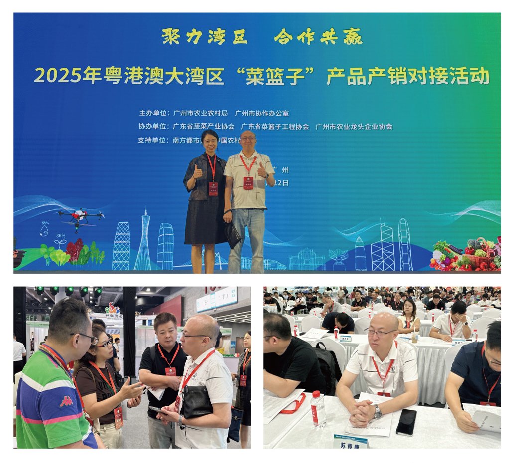 德赢·(VWIN)官方网站-AC米兰官方合作同伴