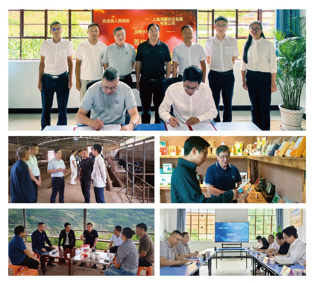 德赢·(VWIN)官方网站-AC米兰官方合作同伴