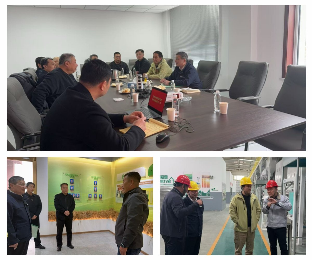 德赢·(VWIN)官方网站-AC米兰官方合作同伴