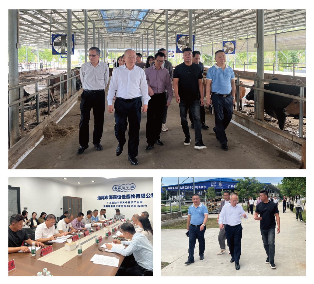 德赢·(VWIN)官方网站-AC米兰官方合作同伴